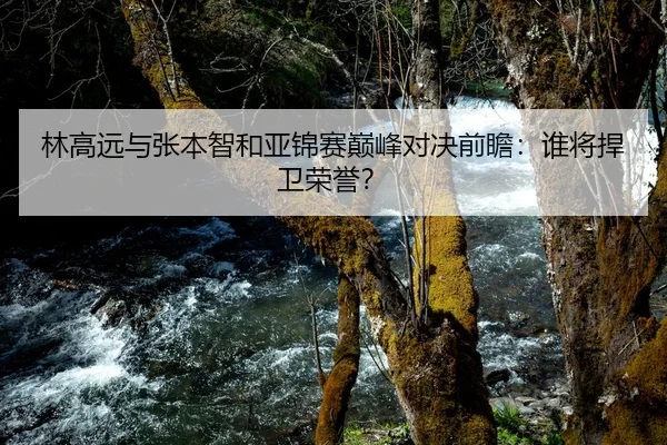林高远与张本智和亚锦赛巅峰对决前瞻：谁将捍卫荣誉？