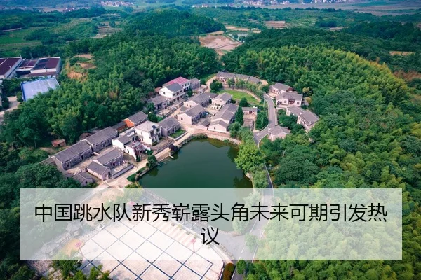 中国跳水队新秀崭露头角未来可期引发热议